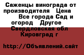 Саженцы винограда от производителя › Цена ­ 800 - Все города Сад и огород » Другое   . Свердловская обл.,Кировград г.